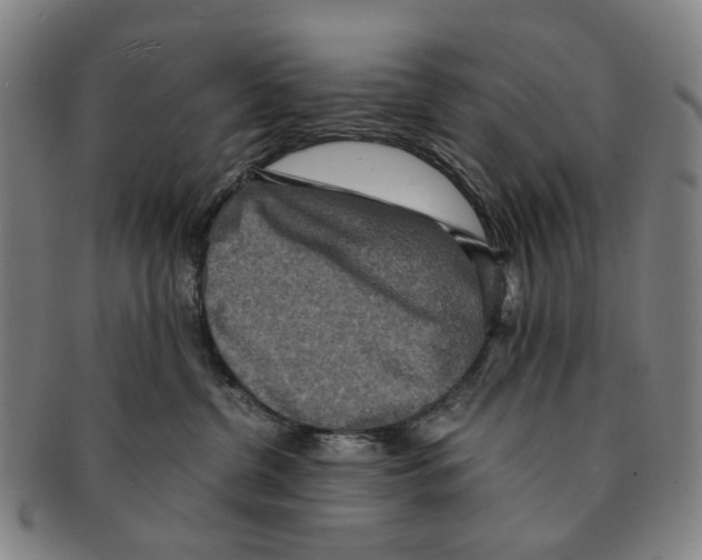 X0000090990380200708301317