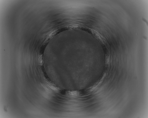 X0000090990383200708301317