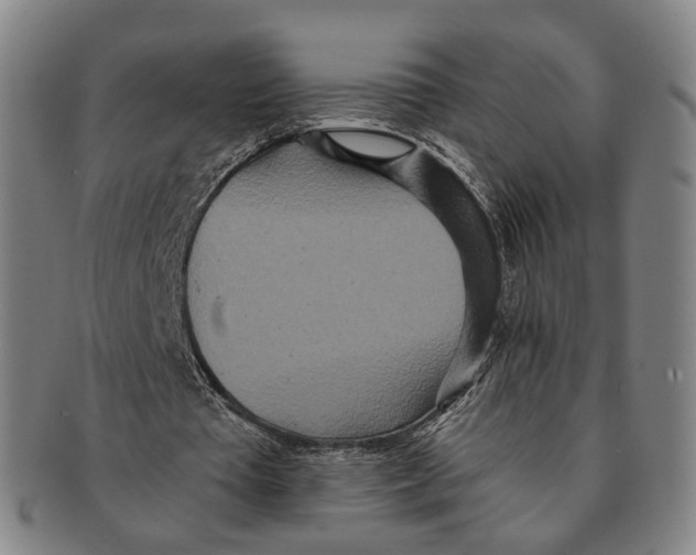 X0000090990385200708301317