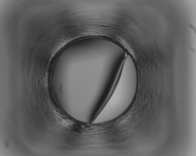 X0000090990387200708301317