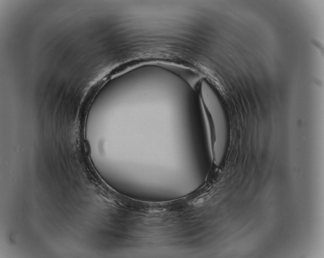 X0000090990388200708301317