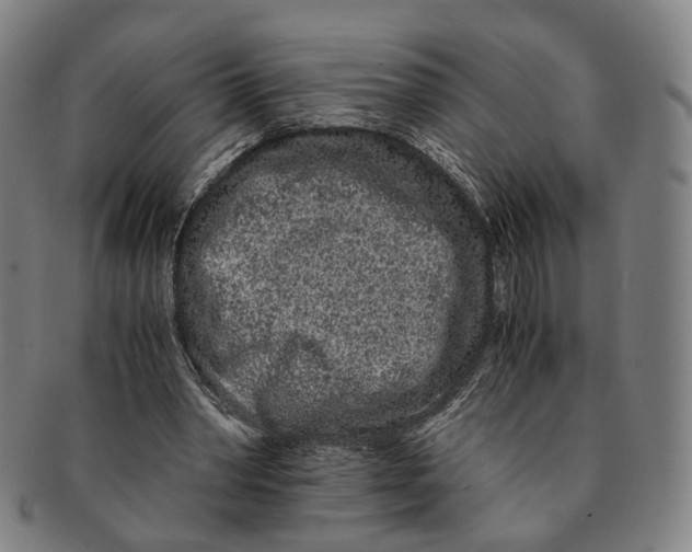 X0000090990390200708301317