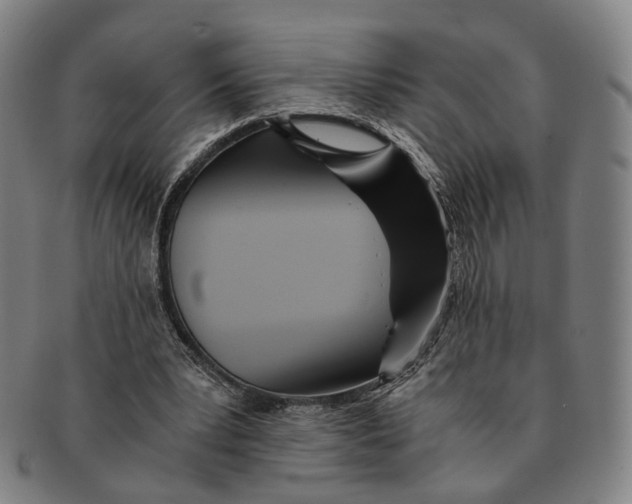 X0000090990391200708301317