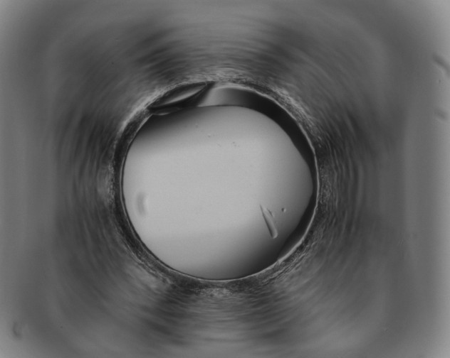 X0000090990392200708301317