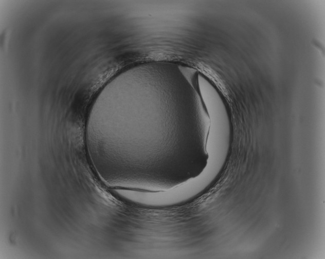 X0000090990393200708301317