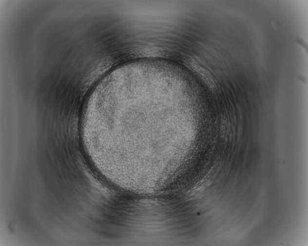 X0000090990394200708301317