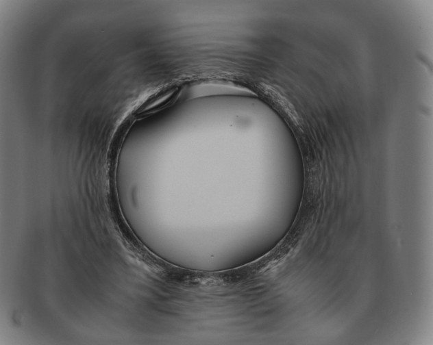 X0000090990395200708301317