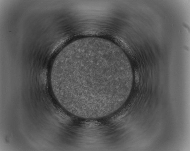 X0000090990396200708301317