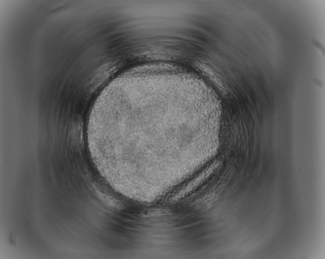 X0000090990398200708301317