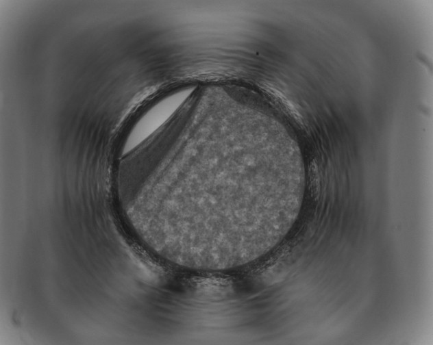 X0000090990400200708301317