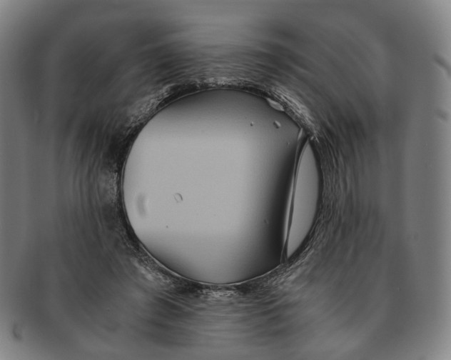 X0000090990401200708301317