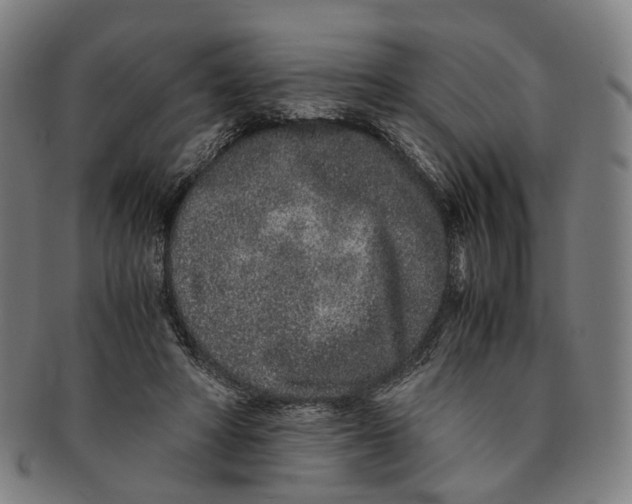 X0000090990402200708301317