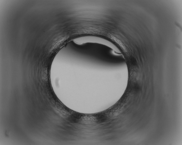 X0000090990403200708301316