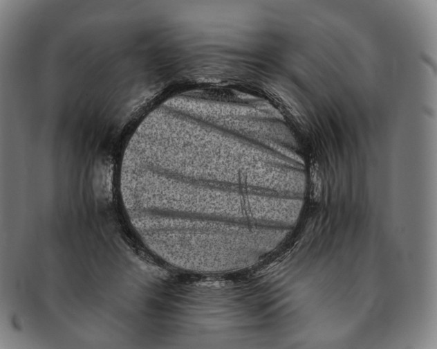 X0000090990404200708301316