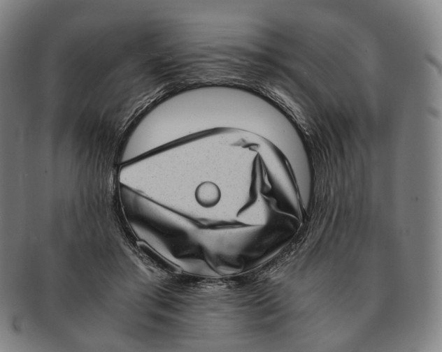 X0000090990405200708301316