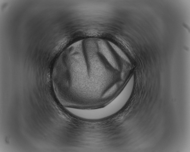 X0000090990407200708301316