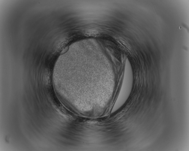 X0000090990408200708301316