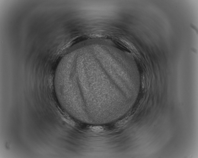 X0000090990409200708301316