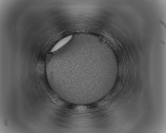 X0000090990413200708301316