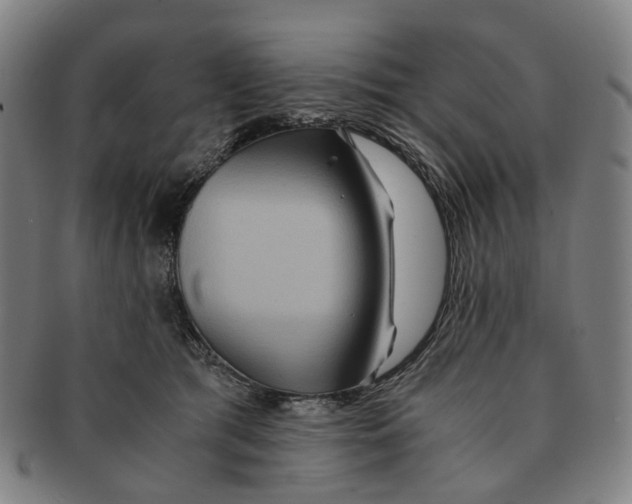 X0000090990417200708301316