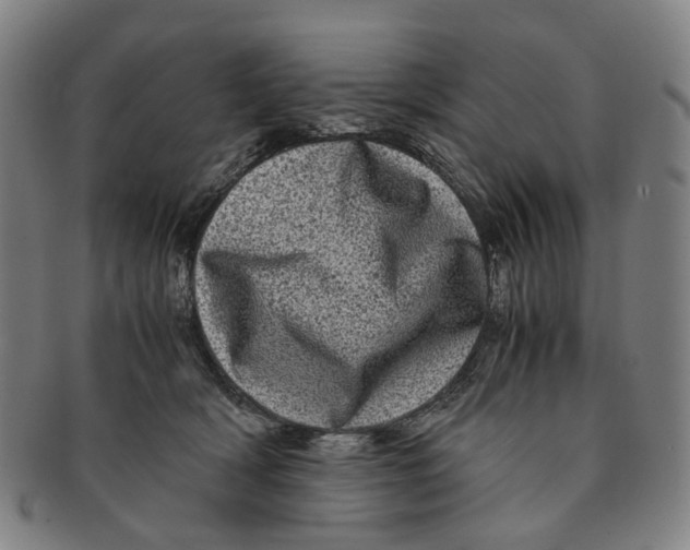 X0000090990418200708301316