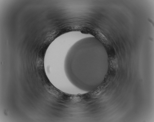 X0000090990419200708301316