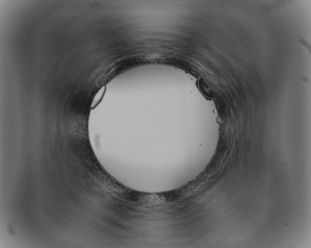 X0000090990421200708301316