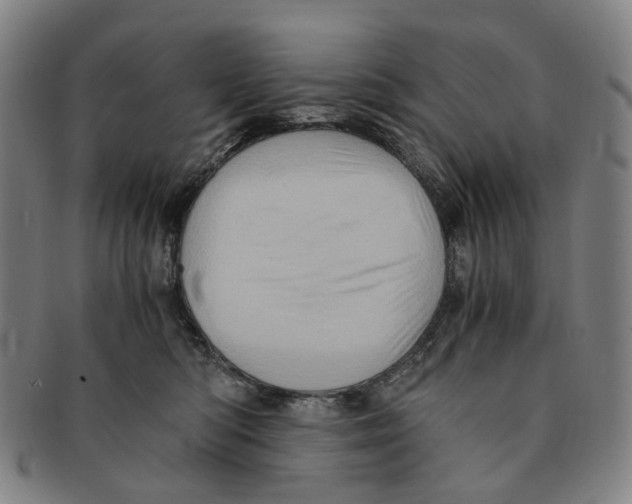 X0000090990422200708301316