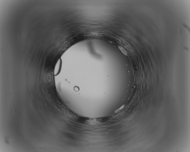 X0000090990425200708301316