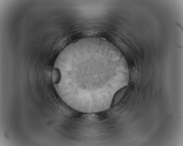 X0000090990427200708301316