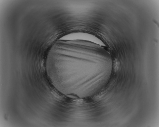 X0000090990428200708301316