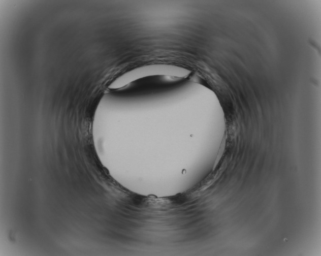 X0000090990429200708301316