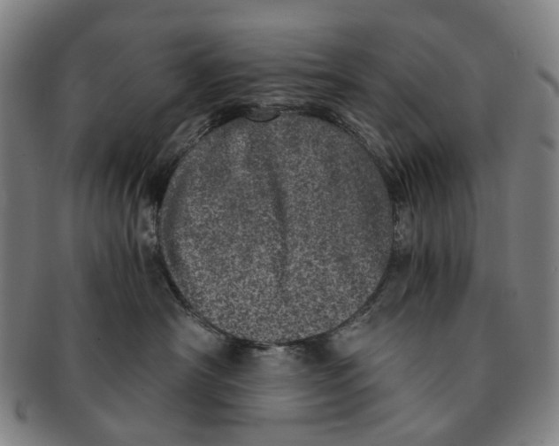 X0000090990430200708301316