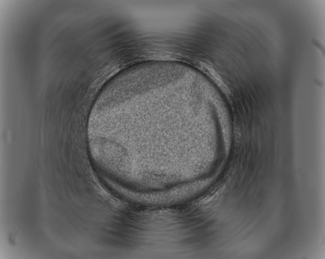 X0000090990433200708301315