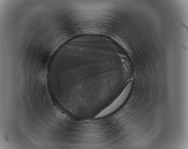 X0000090990434200708301315