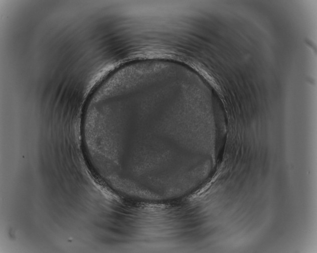 X0000090990438200708301316