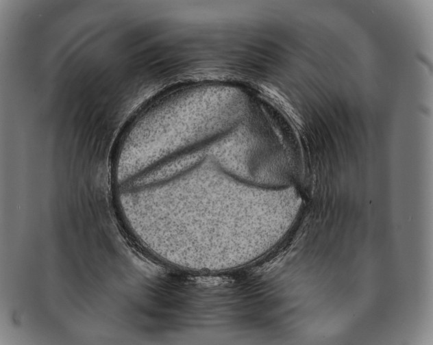 X0000090990439200708301316