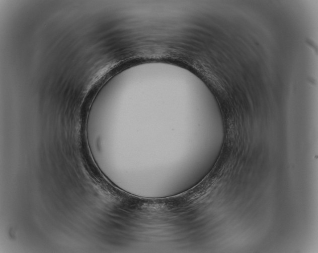 X0000090990440200708301316