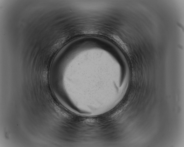 X0000090990441200708301316