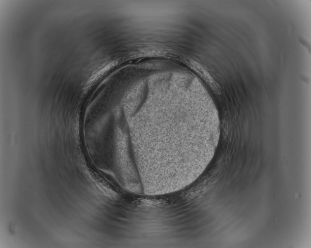 X0000090990442200708301316