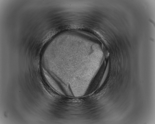 X0000090990443200708301316