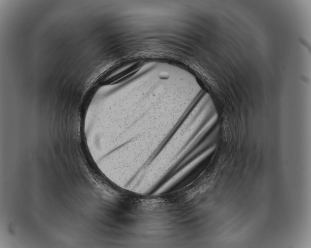 X0000090990446200708301316