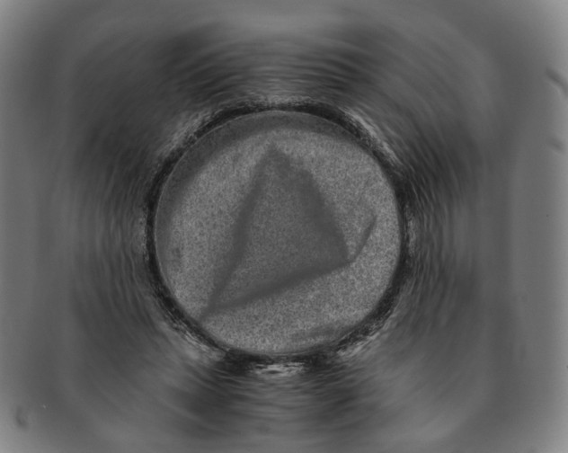 X0000090990447200708301316