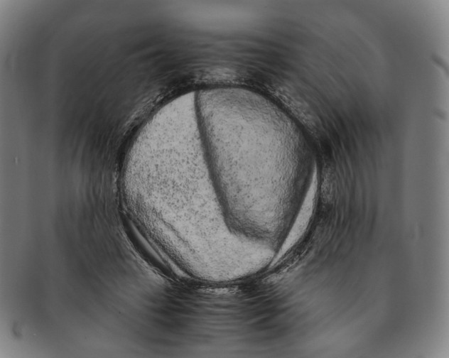 X0000090990449200708301316