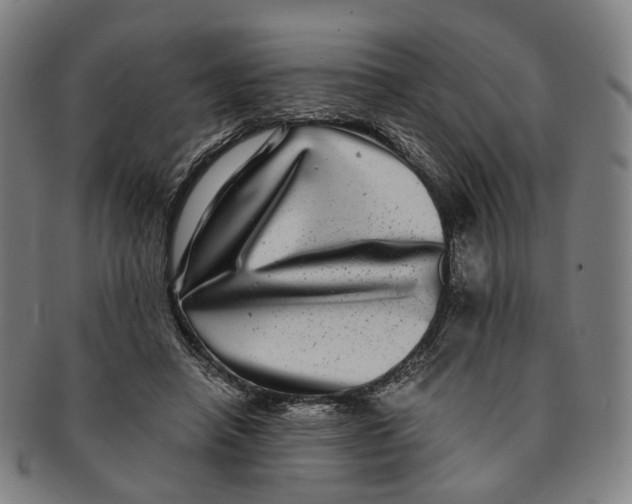 X0000090990450200708301316