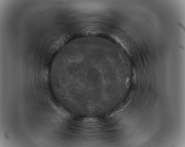 X0000090990451200708301316