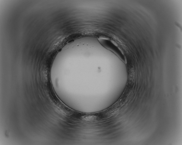 X0000090990452200708301316