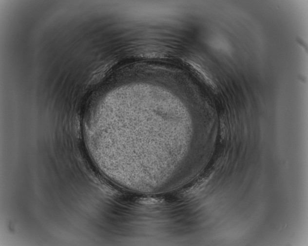 X0000090990453200708301316