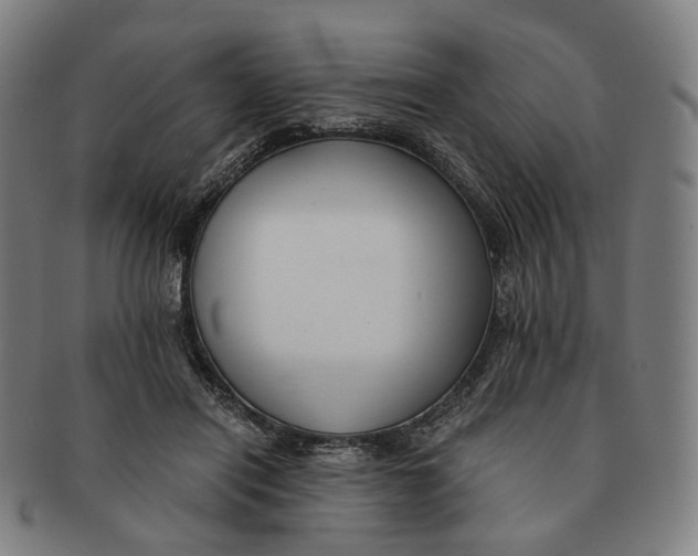 X0000090990454200708301316