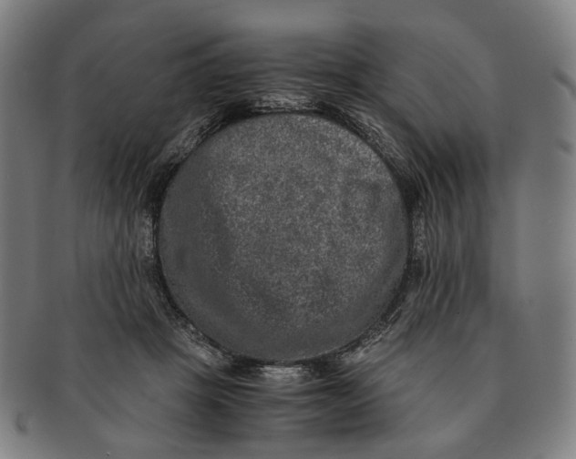 X0000090990457200708301316